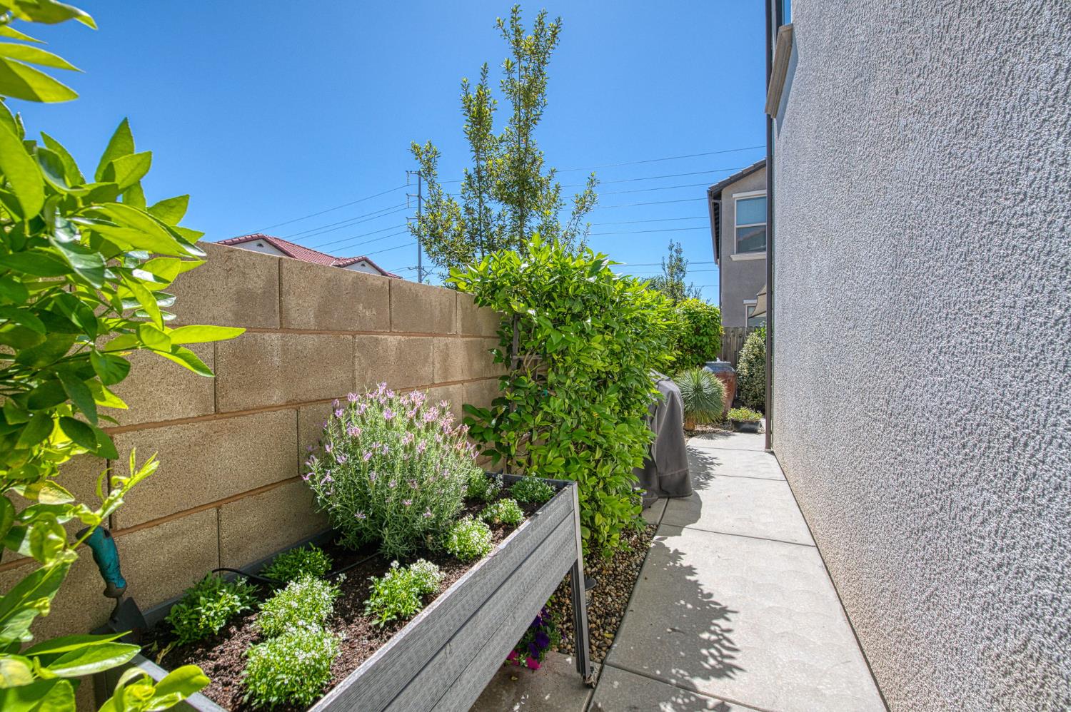 1453 E Via Viola Way, Fresno, CA 93730